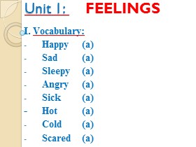 Bài giảng môn Tiếng Anh - Unit 1: Feelings